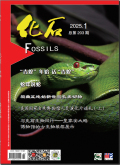 化石